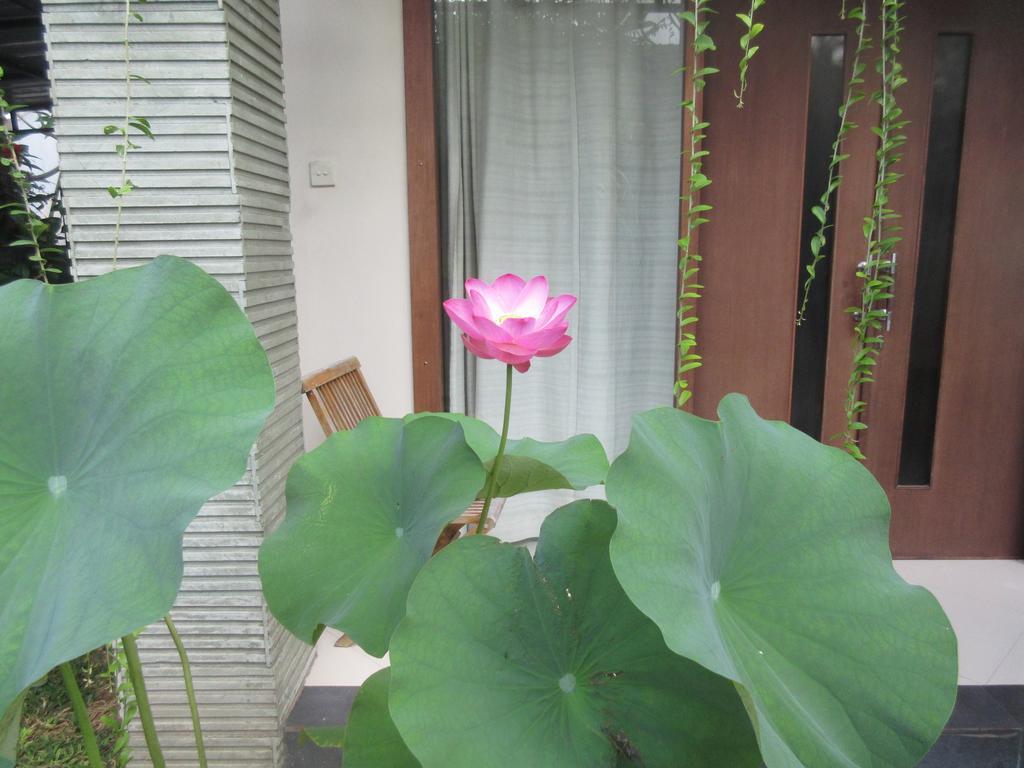 Rika Sanur Homestay Esterno foto